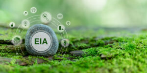 eia