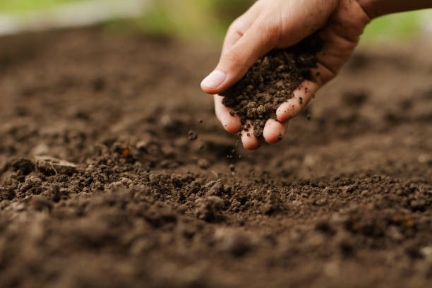 soil character